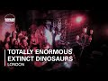 Totally Enormous Extinct Dinosaurs Boiler Room DJ ...