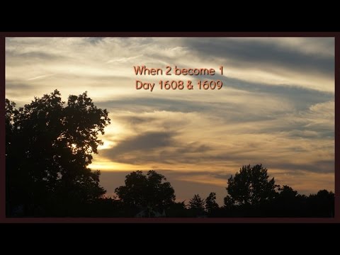 VLOG - When 2 become 1 - Days 1608 and 1609
