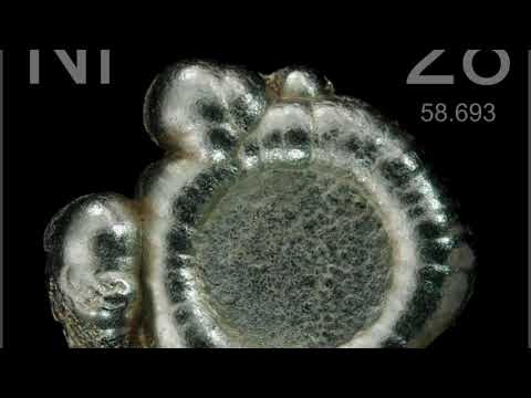 Quannum Logic & Psykofly - "Nickel"