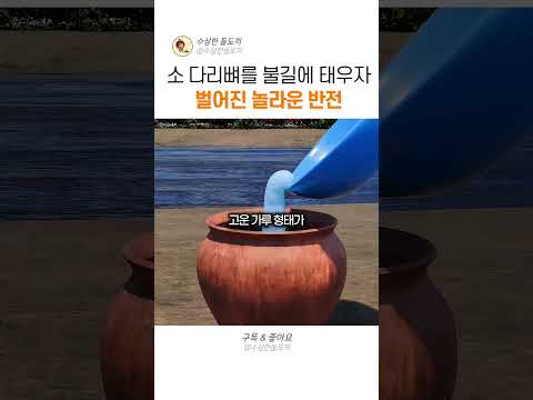 짐승의 뼈가 보석처럼 변한다? 역대급 반전의 본차이나 탄생기 #본차이나 #도자기 #전통공예 #ceramics #history