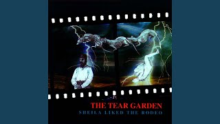 The Strong And Whining Toad