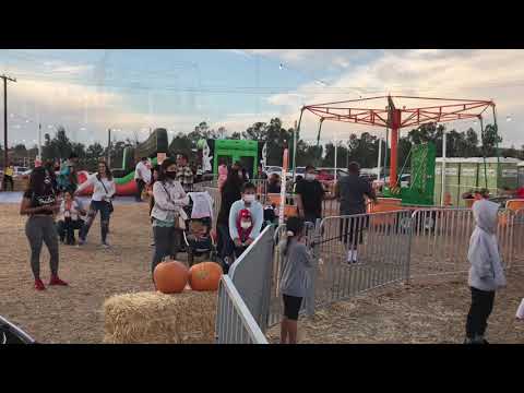 Pumpkin Patch In Murrieta California