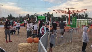 Pumpkin patch in murrieta, California