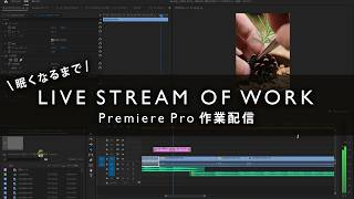 【Chat is in Japanese only Sorry】動画編集します　（TikTok用動画作成）Premiere Pro