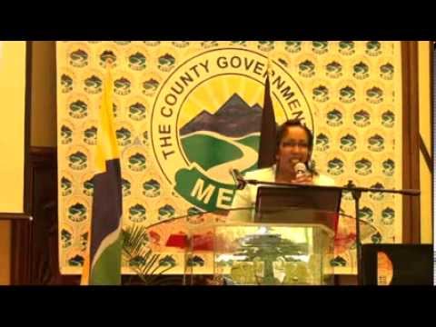 Departmental Presentation - Culture, Gender, Youth, Sports and Social Services