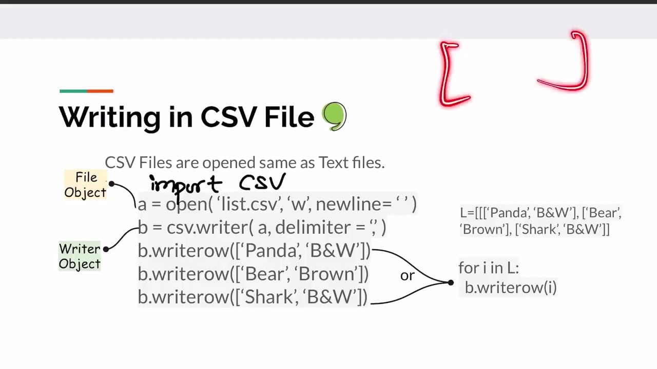 Binary and CSV Files in Python   Class 12 Computer Science #binaryfile #csvfile
