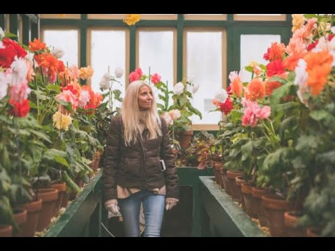 Bathurst Begonia House