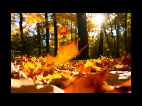 PHX & mCzOx, Cera - Vielleicht