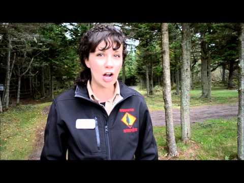 Tips for Planning Your Visit to the Hopewell Rocks