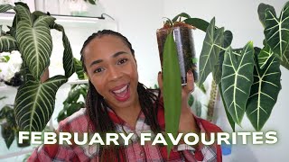 FANTASTIC plants that you probably forgot about ||February Plant Favourites