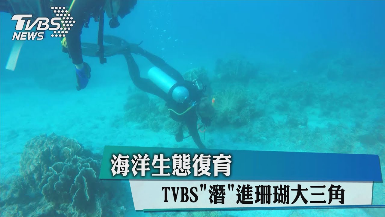 海洋生態復育 TVBS「潛」進珊瑚大三角