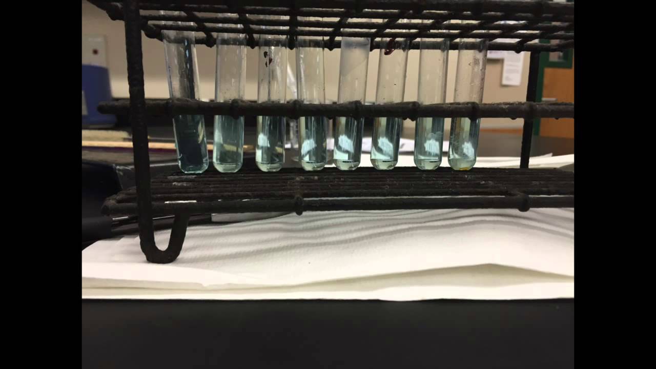 Limiting Reagent Lab Report