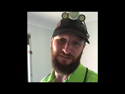 Doing a termite inspection in Loganlea, Brisbane