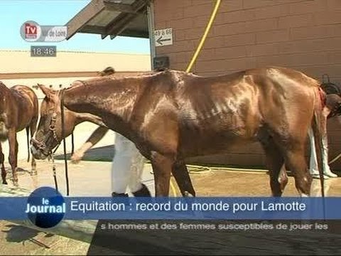 comment participer aux championnats de france d'equitation