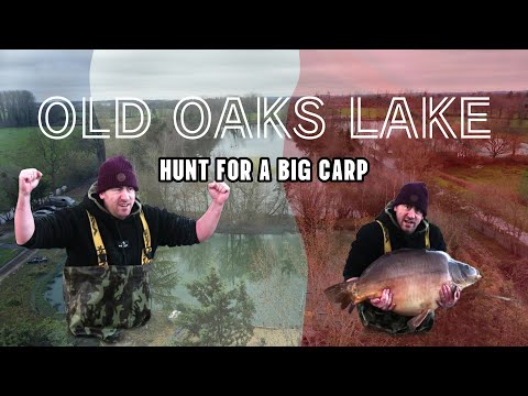 Fishing For Big Fish In France | Old Oaks Lake...LeMans