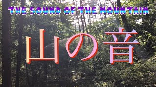 ［ASMR］山の音　〈遠野市綾織〉　The Sound of the Mountain