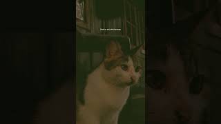 Download lagu story wa 30 detik maaf yok aku akeh kurange mp3