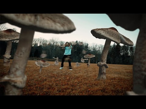 Illest Villains - Reset (Dir. Flowermouth Films)