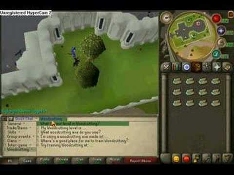 Weird guy in Runescape.....