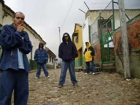 animales sin rostro/interz/zebra,santacruz,yaga,fonxz