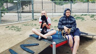 Dog Park at Arroyo Grande Sports Complex - Henderson, NV