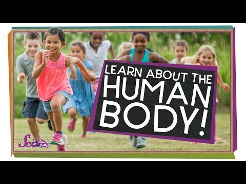 The Human Body: A Complex System | Golden Age