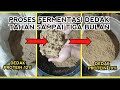 Bran Fermentation Increasing Protein Content In Bran