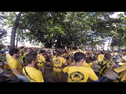 Balanation - GAPERIA CAASO   (Live at Apelidação Atlética 2015)