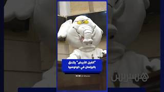 مؤثر كولومبي مشهور بمناهضته للفساد عبر ارتدائه زي "فيل أبيض" يلتحق بالبرلمان بعد انتخابه حديثا thumbnail