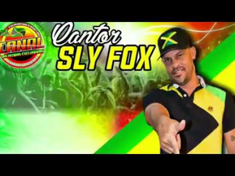 MELO DE SEGUIDORES SLY FOXX FEAT MIRIAN BLACK