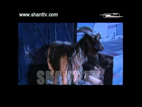 Vervaracner - Վերվարածներն ընտանիքում - 3 season - 113 series