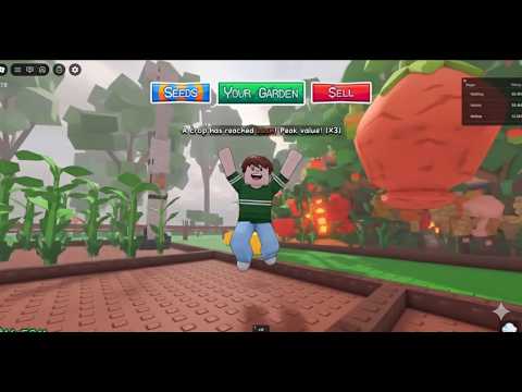 ทำเงิน 100ล้าน ด้วยสวนผักผลไม้ยักก !!  Garden horizons #roblox
