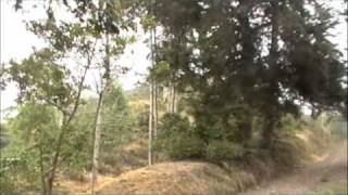 preview picture of video 'Panoramic of Finca San Luis (Libano, Tolima)'