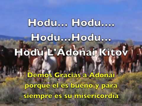 Hodu L'Adonai Tehillim 136