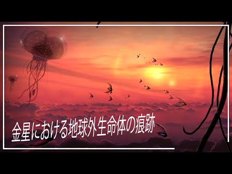 金星にはかつて海がありましたか?