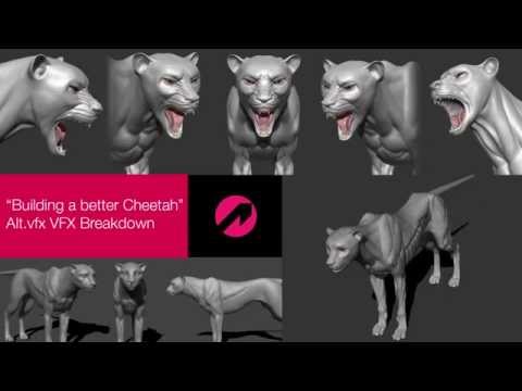 Cheetah - Before and Afters