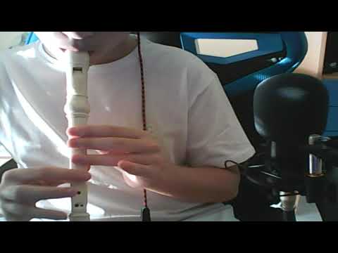 Senorita - Shawn Mendes - Flauto Cover