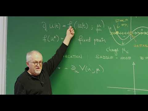 3. Dynamical Systems: Fixed Points, Saddle-Node & Pitchfork Bifurcations