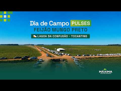 Primeiro Dia de Campo Máxima Pulses na Lagoa da Confusão-TO 2026