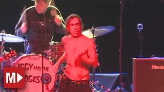 Iggy and the Stooges | Cock In My Pocket | Live in Sydney