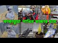 কাকাতুয়া পাখির বাচ্চার দাম জানুন | Angry Birds bd pet shop #v
