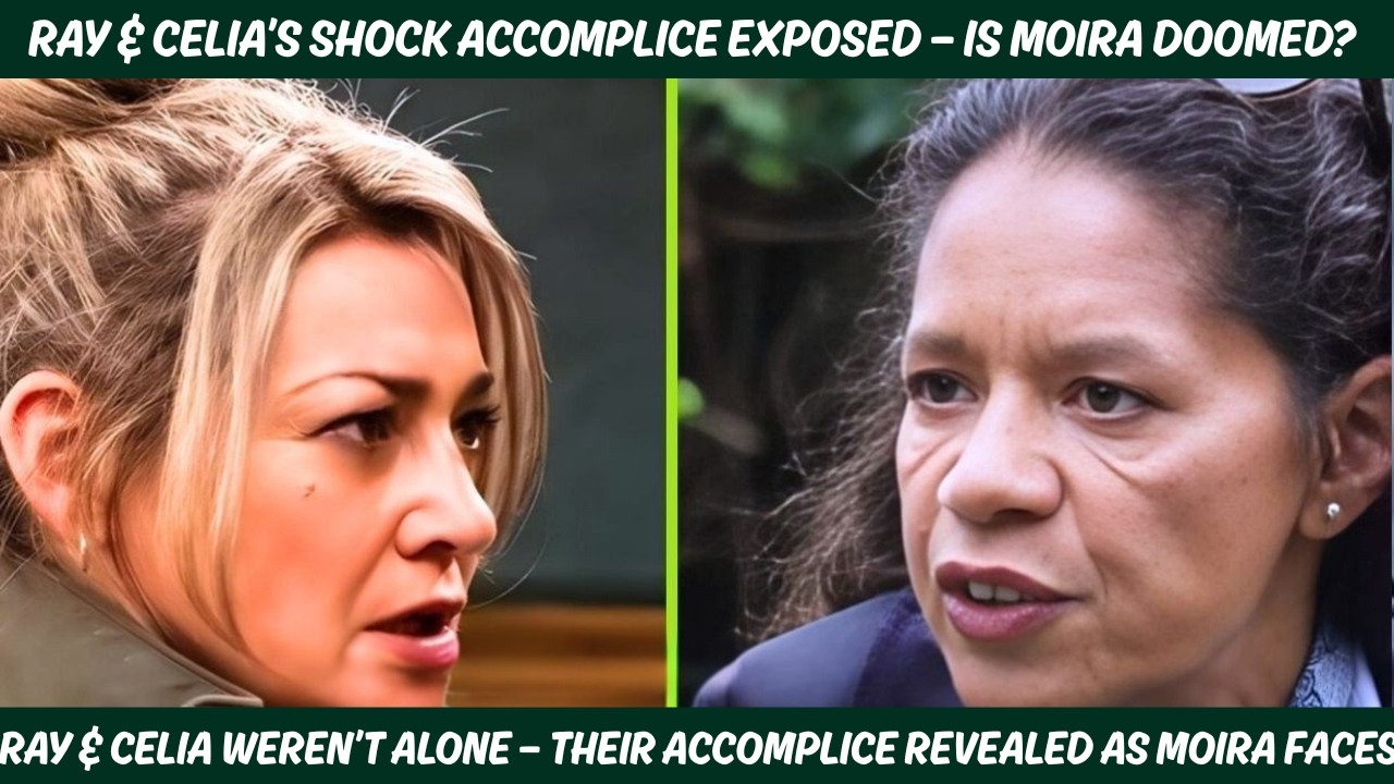 YouTube Thumbnail Downloader FULL HQ IMAGE