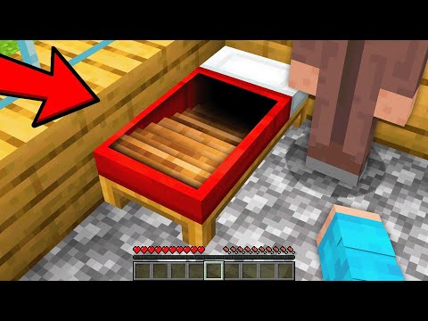 Ich BENUTZE GEHEIM EINGANG um FREUNDE zu PRANKEN in SUCHEN & VERSTECKEN!