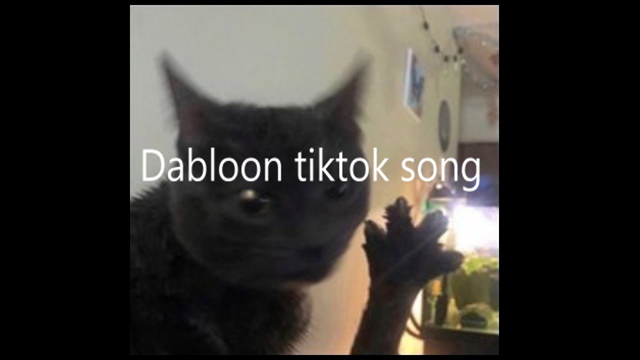 Dabloon full tiktok song SUBTITLES ON