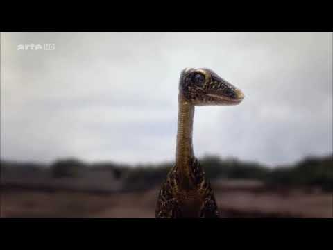 Australien eine Zeitreise E03 Ära der Dinosaurier