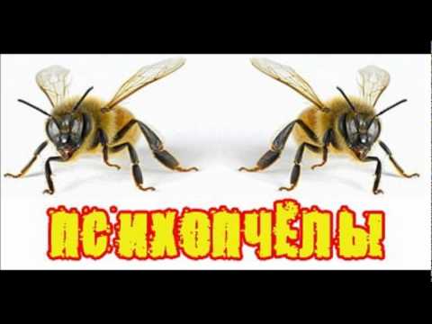 Artur Scott - Psychobee's (2009 version)