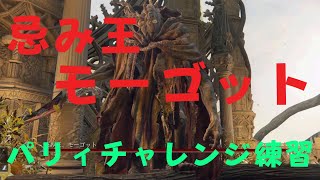 #19 忌み王モーゴットにパリィで挑んでみる！　EldenRing エルデンリング