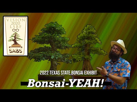 2022 Texas State Bonsai Exhibit - Bonsai-YEAH!