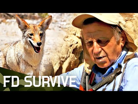 Desert Rehydration: The Cutting Edge of Survival | Vibepedia