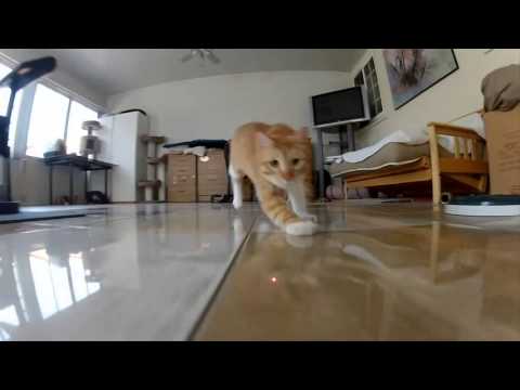 GoPro Laser Cats   TV Commercial